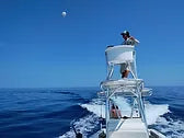 Kite Fishing 0.7 Helikite