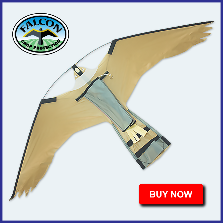 FALCON FRIGHTKITE REPLACEMENT